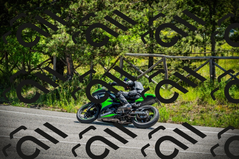 202506021147-DSC03972_c1_