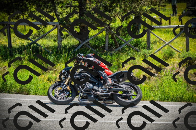 202506021147-DSC03977_c1_