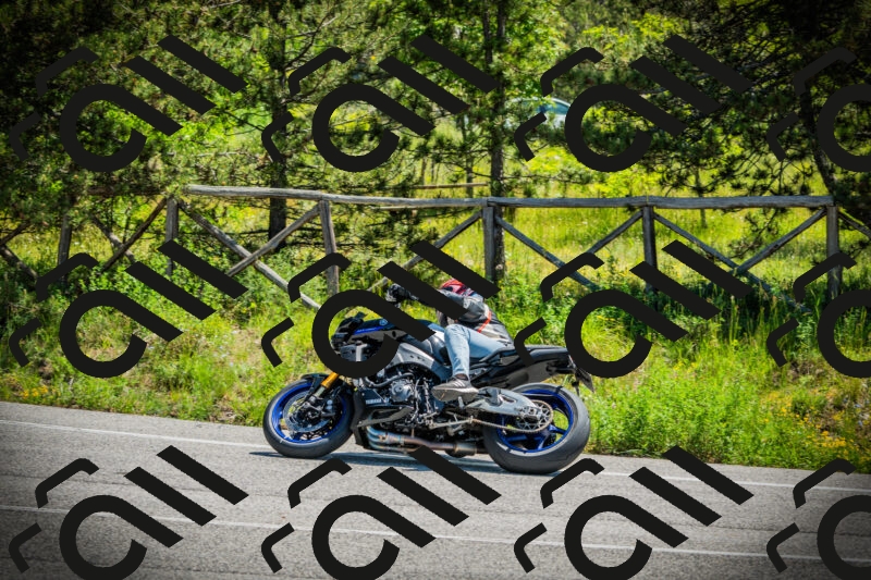 202506021147-DSC03978_c1_