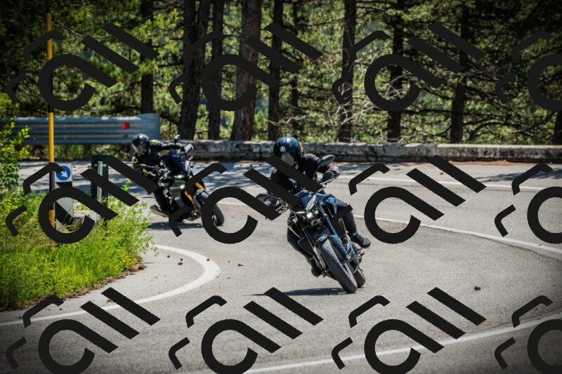 202506021147-DSC03980_c1_