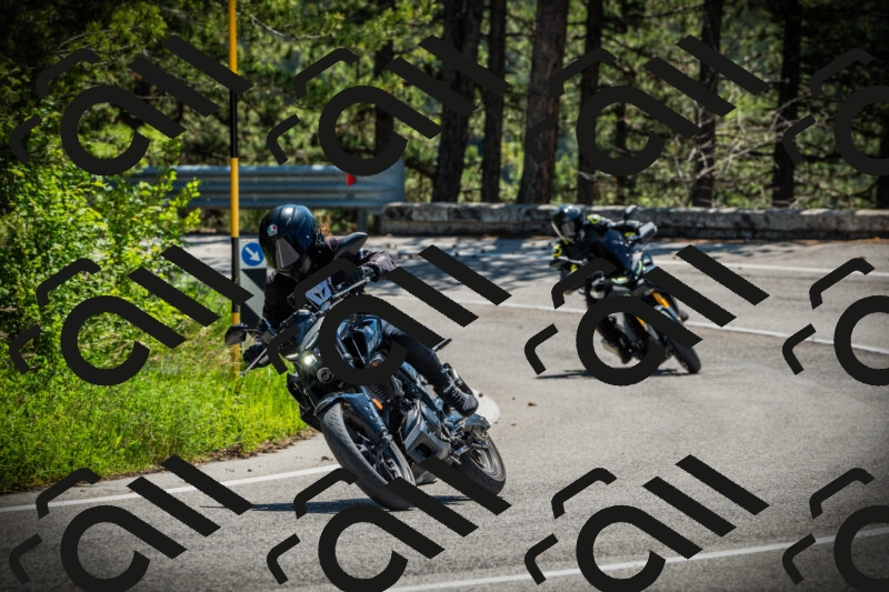 202506021147-DSC03981_c1_