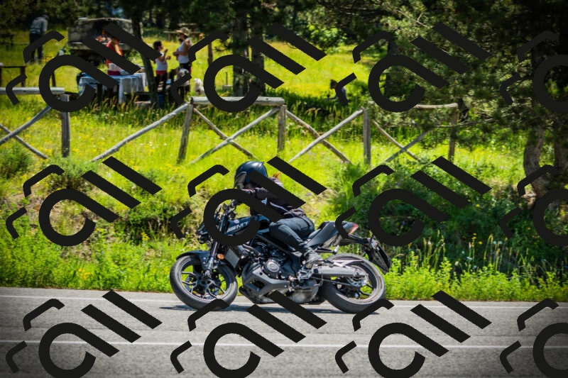 202506021147-DSC03982_c1_