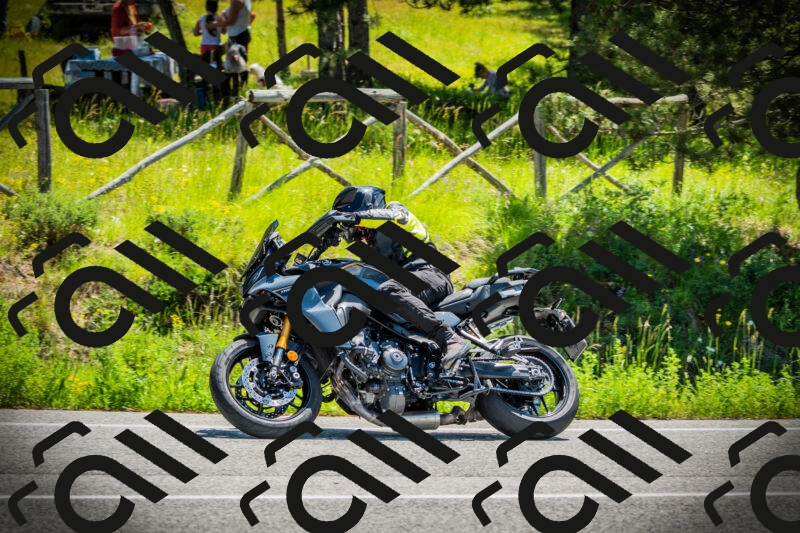 202506021147-DSC03983_c1_