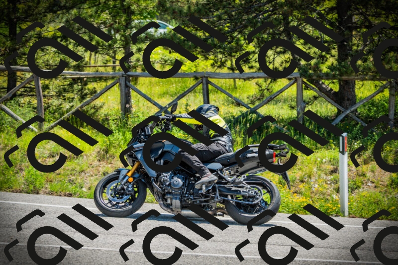 202506021147-DSC03984_c1_