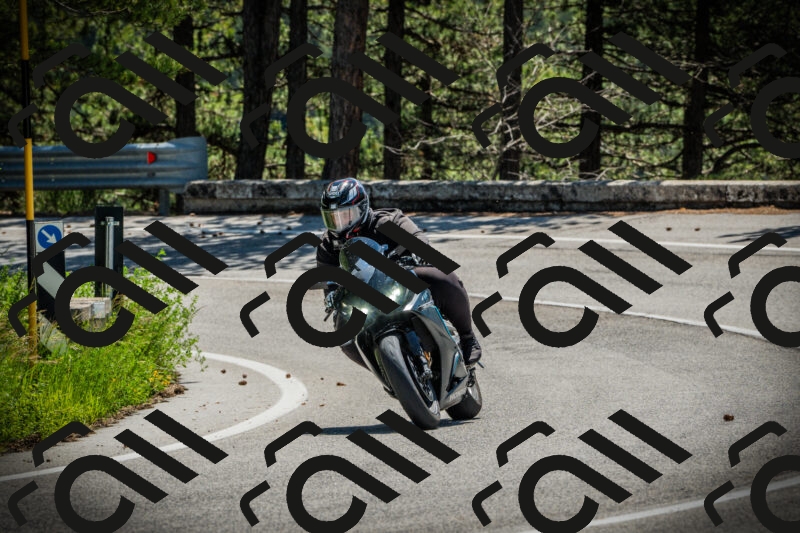 202506021147-DSC03986_c1_