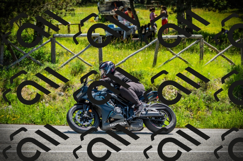 202506021147-DSC03988_c1_