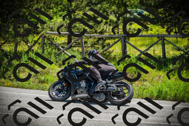 202506021147-DSC03989_c1_