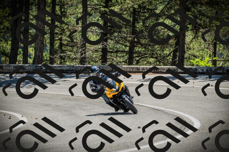 202506021147-DSC03991_c1_