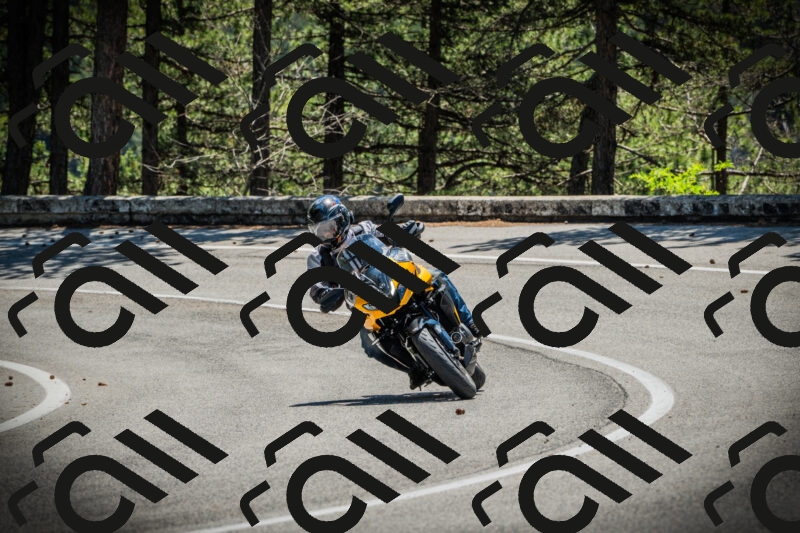 202506021147-DSC03992_c1_