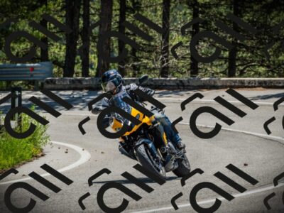 202506021147-DSC03993_c1_