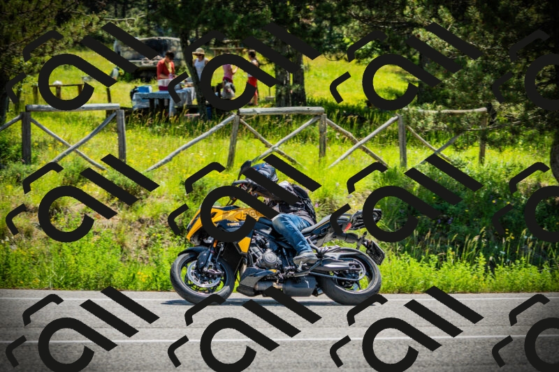 202506021148-DSC03994_c1_