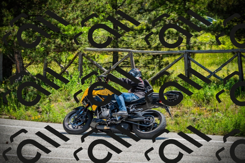 202506021148-DSC03995_c1_