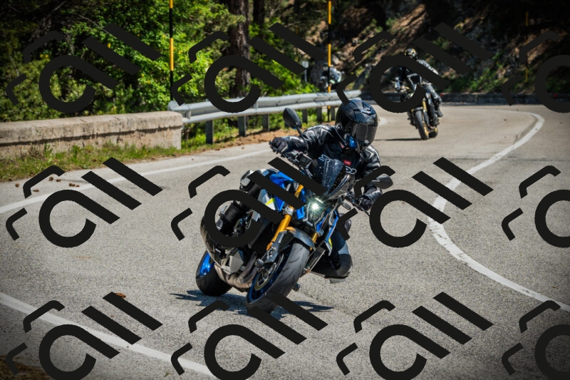 202506021149-DSC04012_c1_