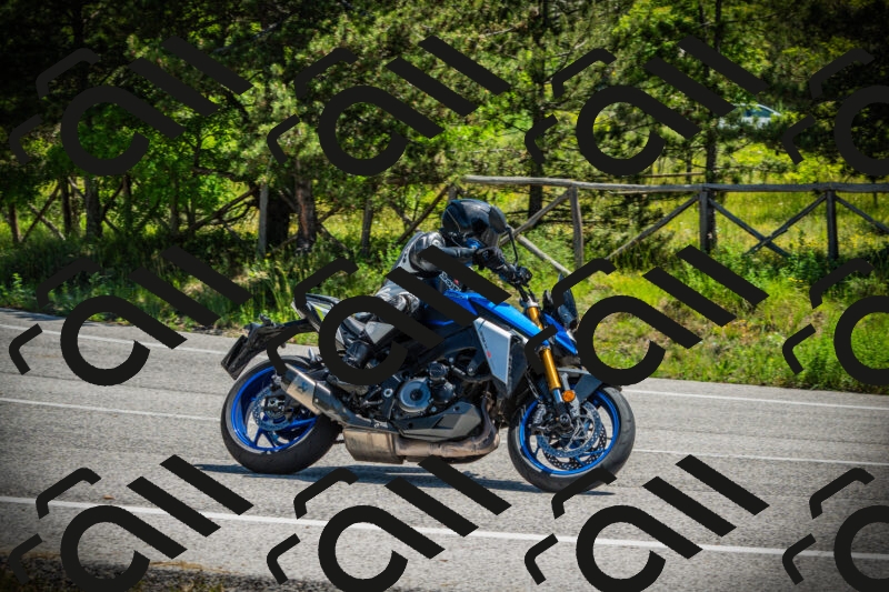 202506021149-DSC04013_c1_