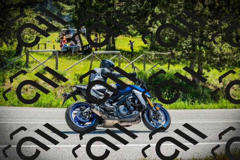 202506021149-DSC04014_c1_