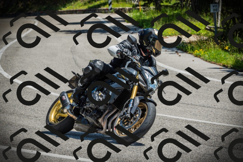 202506021149-DSC04015_c1_