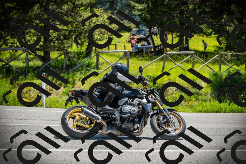 202506021149-DSC04016_c1_