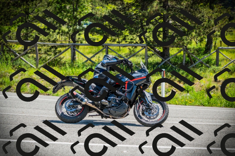 202506021149-DSC04019_c1_