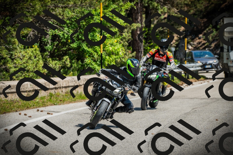 202506021149-DSC04022_c1_