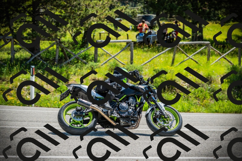 202506021149-DSC04024_c1_