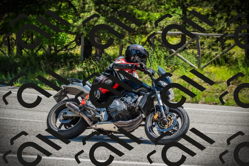 202506021149-DSC04029_c1_