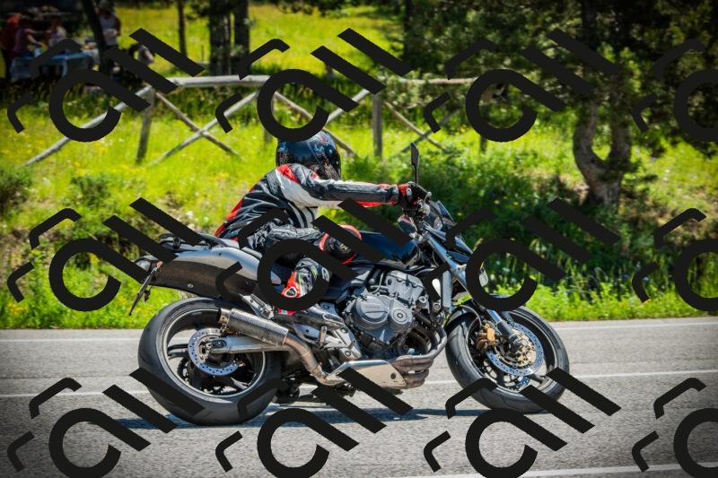 202506021149-DSC04030_c1_