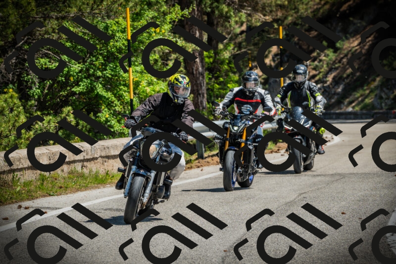 202506021150-DSC04032_c1_