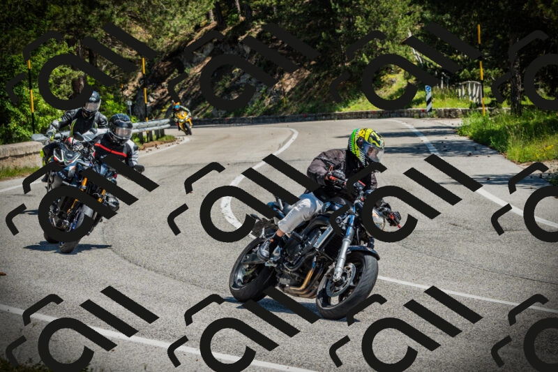 202506021150-DSC04034_c1_