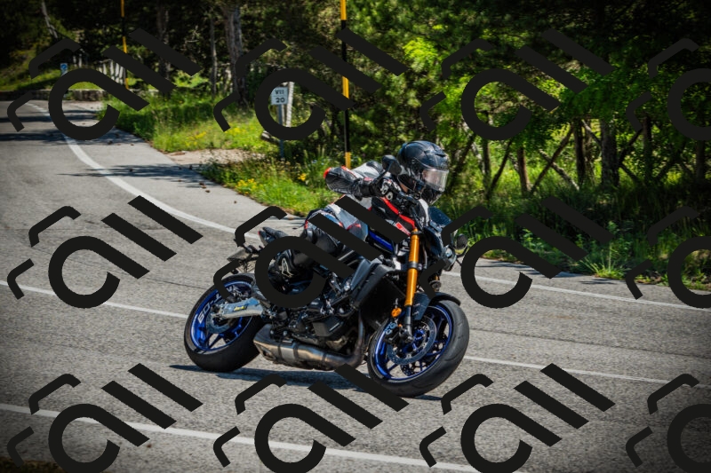 202506021150-DSC04035_c1_