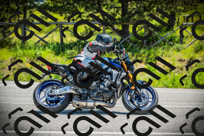 202506021150-DSC04036_c1_