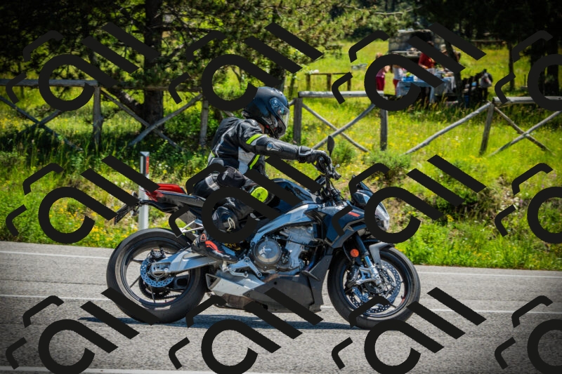 202506021150-DSC04037_c1_