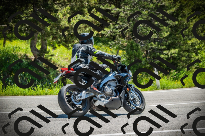 202506021150-DSC04038_c1_