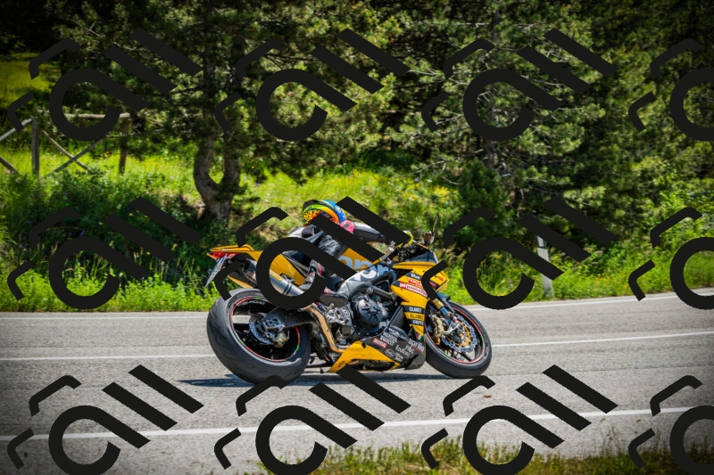 202506021150-DSC04041_c1_