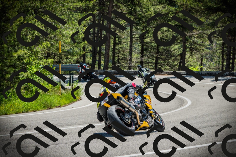 202506021150-DSC04042_c1_