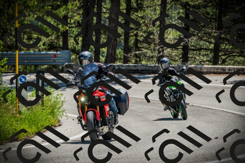 202506021151-DSC04043_c1_