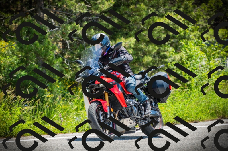 202506021151-DSC04045_c1_