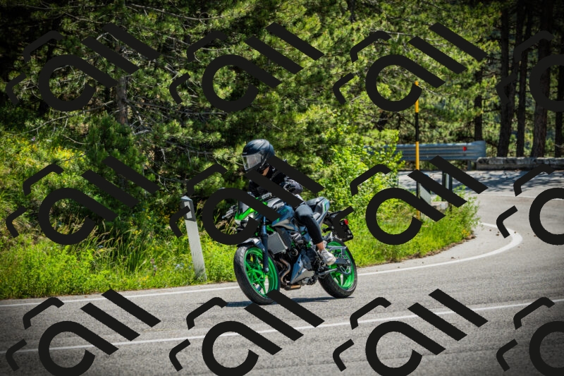 202506021151-DSC04046_c1_