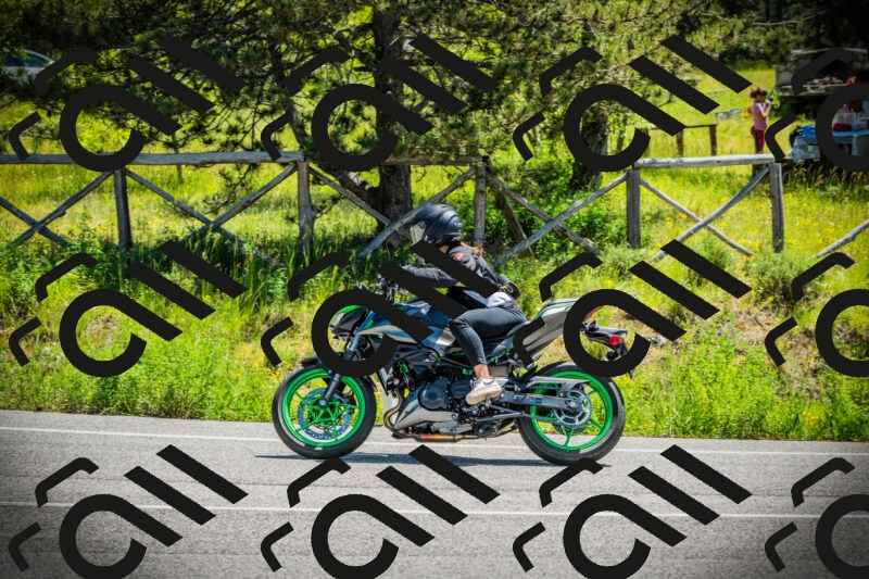 202506021151-DSC04047_c1_