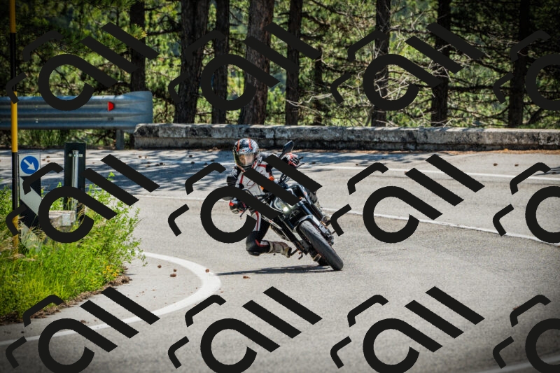 202506021151-DSC04054_c1_