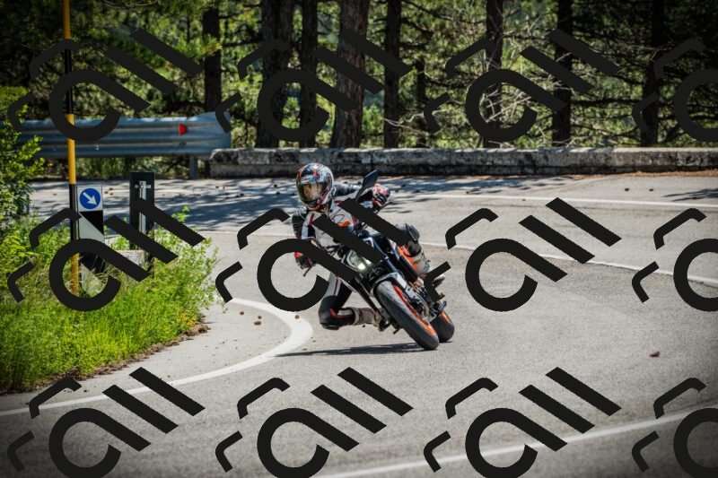 202506021151-DSC04055_c1_