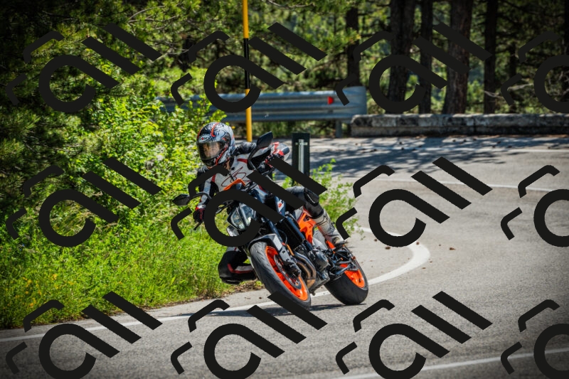 202506021151-DSC04056_c1_