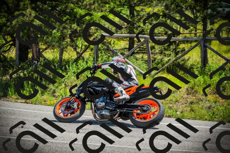 202506021151-DSC04058_c1_