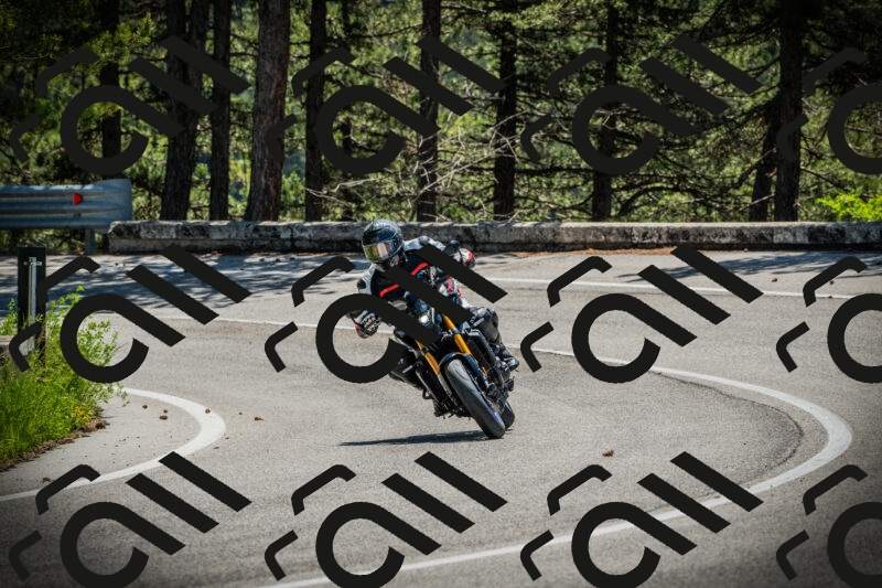 202506021152-DSC04060_c1_