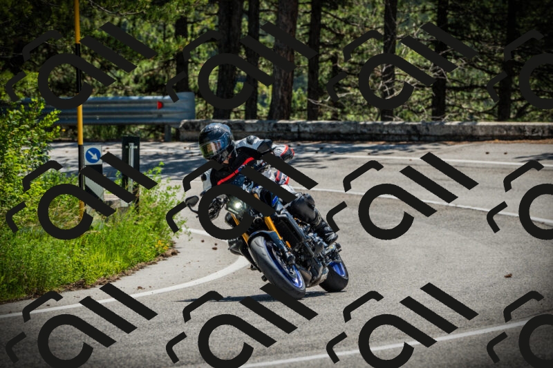 202506021152-DSC04061_c1_