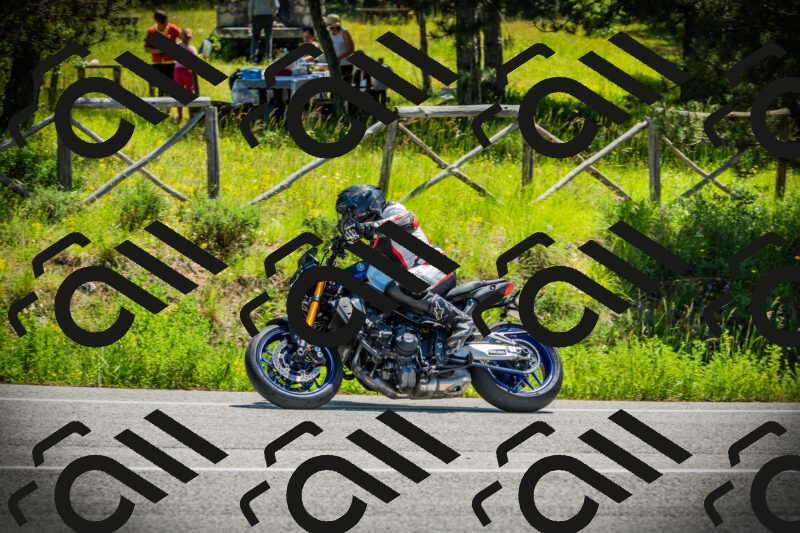 202506021152-DSC04062_c1_