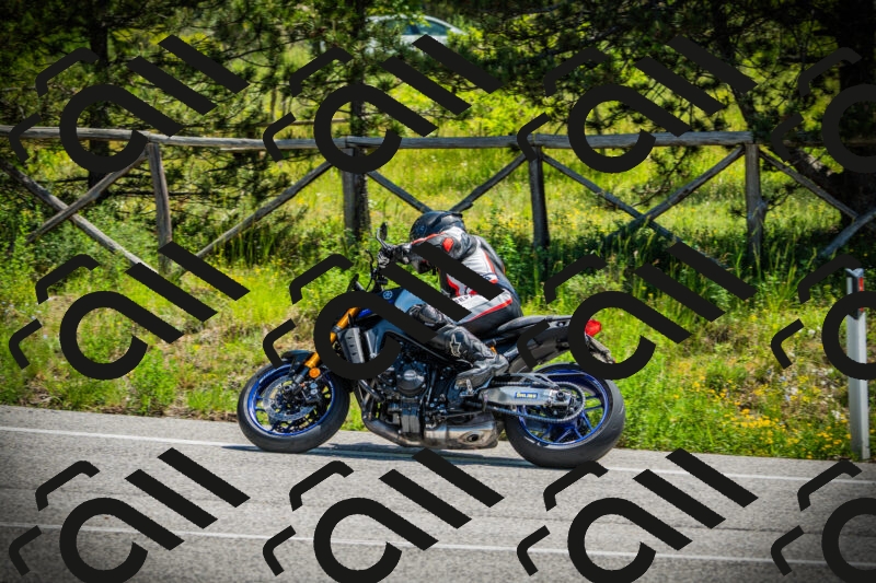 202506021152-DSC04063_c1_