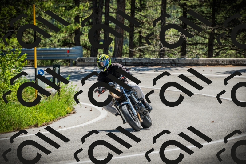 202506021152-DSC04066_c1_