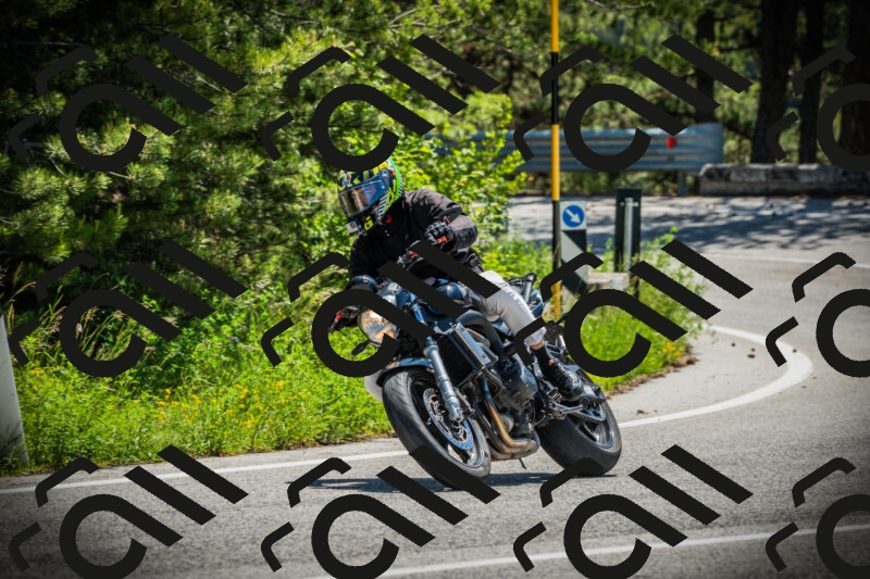 202506021152-DSC04067_c1_