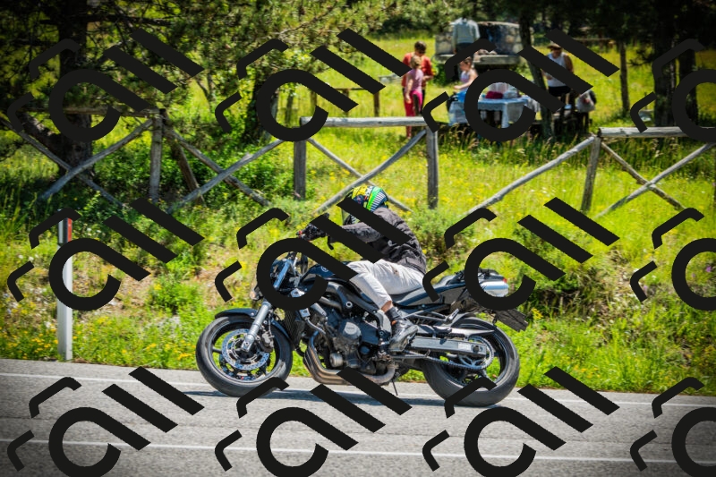 202506021152-DSC04068_c1_