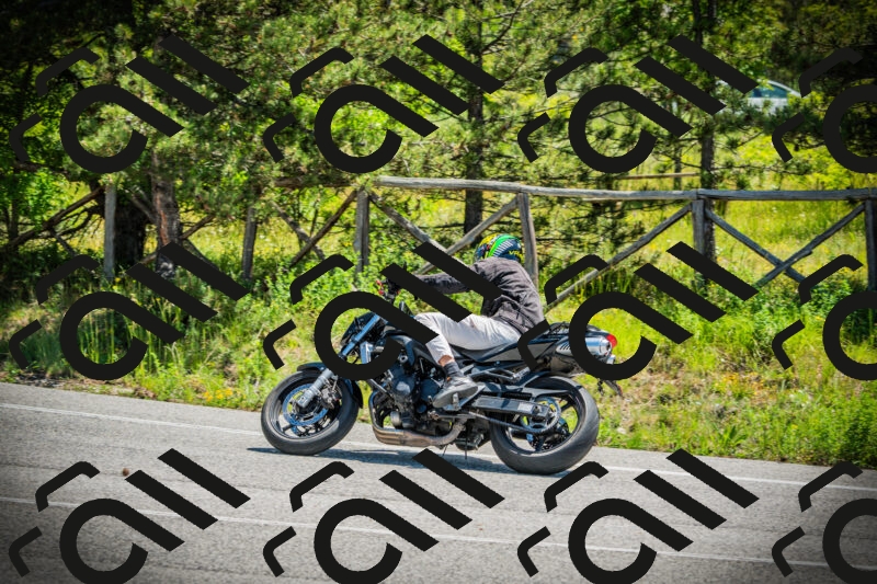 202506021152-DSC04069_c1_